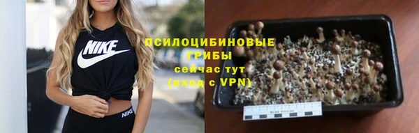 сатива Алексеевка
