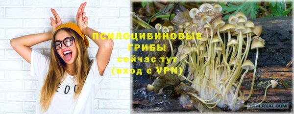 сатива Алексеевка