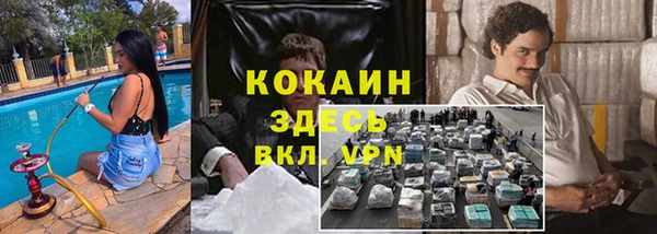 сатива Алексеевка