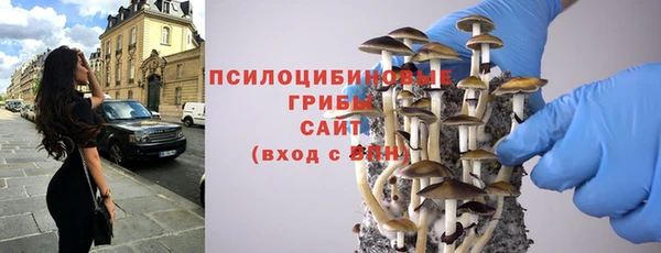 Альфа ПВП Алзамай