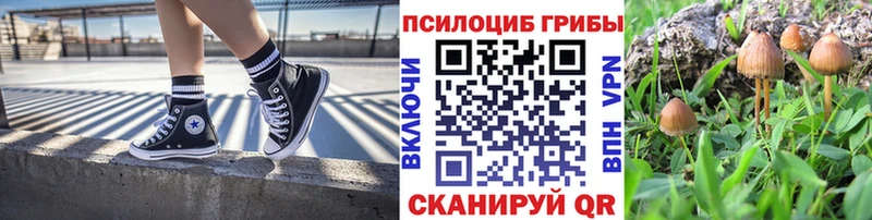 Галлюциногенные грибы Cubensis  купить  сайты  Удачный 